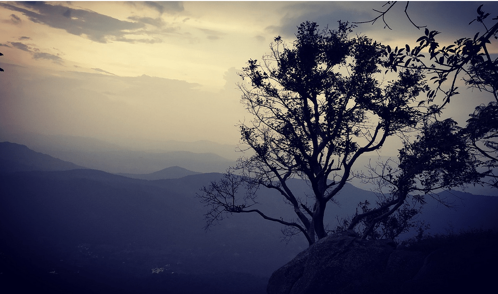 Places to Visit in Yercaud: Jewel of the South
